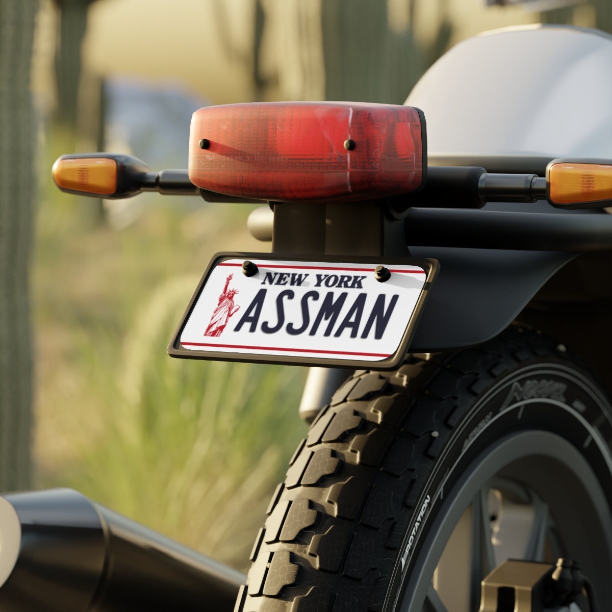 ASSMAN Mini License Plate